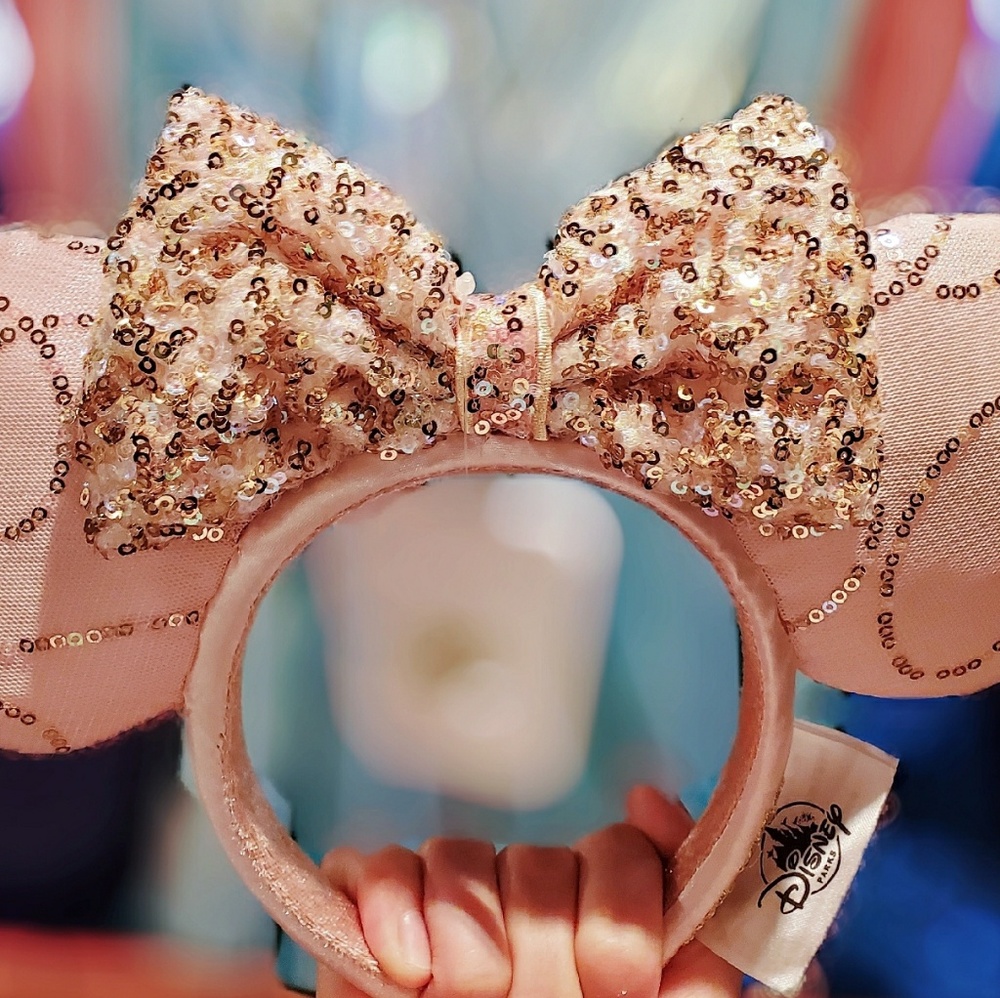 DISNEY PARKS BIBBIDI BOBBIDI *BEST DAY EVER* EARS - Picture 2 of 7